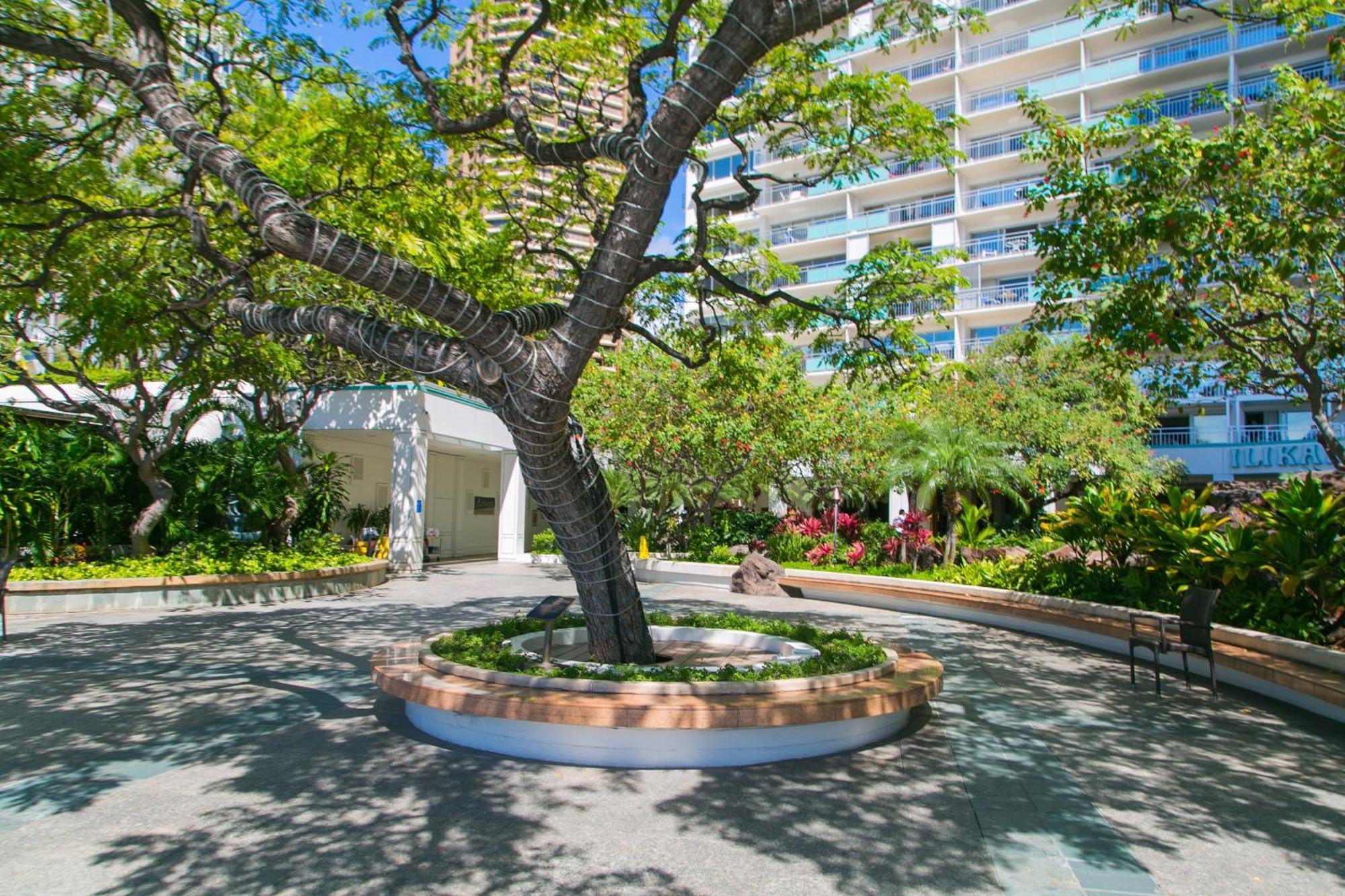 Ilikai Tower 1403 City View 1Br Honolulu Esterno foto